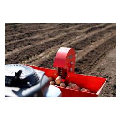 VARI Sazeč brambor SB-40