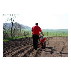 VARI Sazeč brambor SB-40