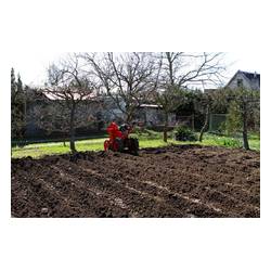 VARI Sazeč brambor SB-40