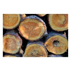 VARI Malotraktor VARI IV GLOBAL + ANV-380 (motor VARI XP-200A)