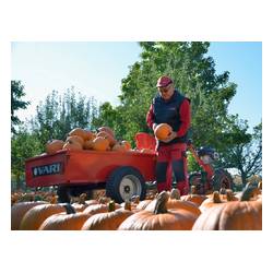 VARI Malotraktor VARI IV GLOBAL + ANV-500 (motor VARI XP-200A)