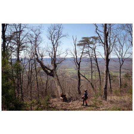 Husqvarna 585 řetězová pila