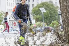 download-4.jpg
