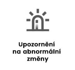 13l.jpg