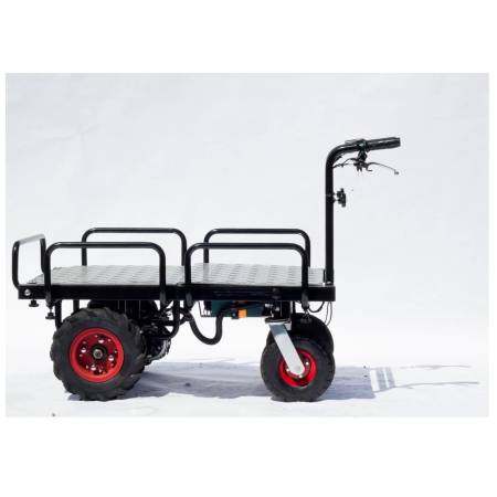 ENERGY ADVENTURE E-plošina Cargo Bee
